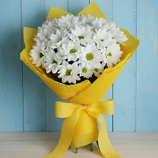 Букет цветов из:  Хризантемы в Плюссе