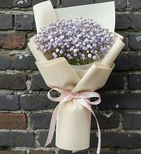 Букет цветов из:  Гипсофила в Плюссе