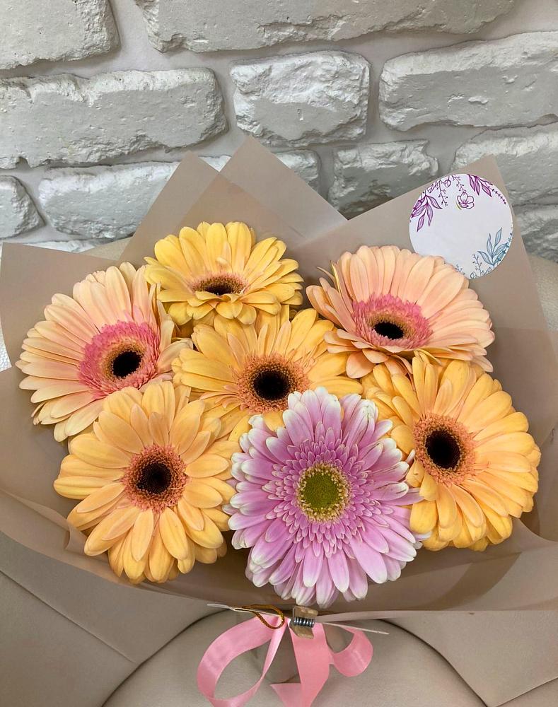 Букет цветов из: Герберы в Плюссе