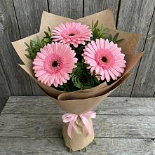 Букет цветов из:  Герберы в Плюссе