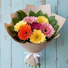 Букет цветов из:  Герберы в Плюссе