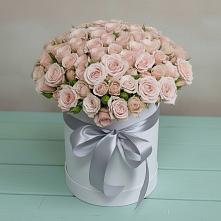 Цветочная композиция из Розы в шляпной коробке #REPLACE_PRED# Плюссе