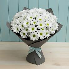Букет цветов из:  Хризантемы в Плюссе