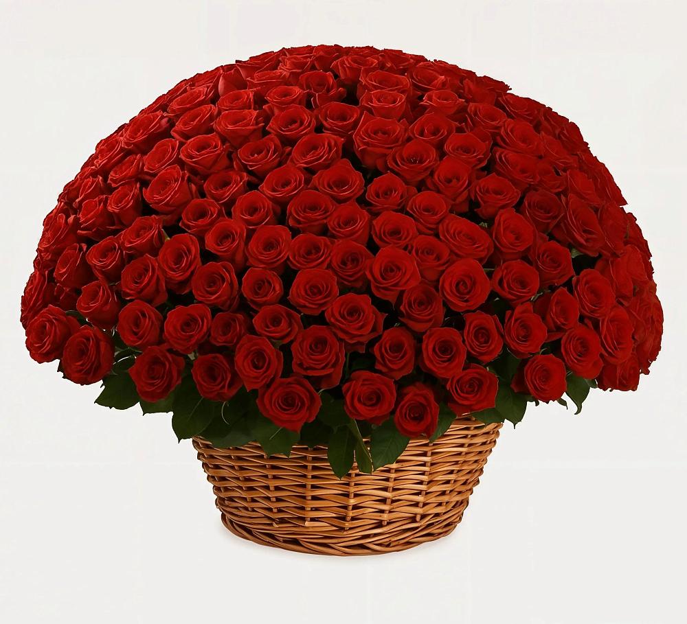 Премиум букет из: Розы в Плюссе