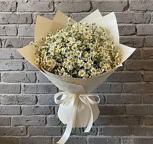 Букет цветов из:  Ромашки #REPLACE_PRED# Плюссе