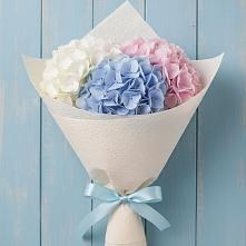Букет цветов из:  Гортензия в Плюссе