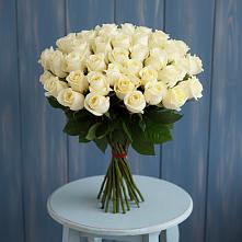 Букет 51 Белая роза Эдлесс Лав #REPLACE_PRED# Плюссе