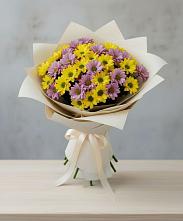 Букет цветов из:  Хризантемы в Плюссе
