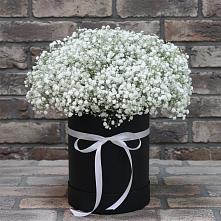 Цветочная композиция из Гипсофила в шляпной коробке в Плюссе