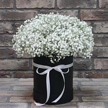 Цветочная композиция из Гипсофила в шляпной коробке в Плюссе
