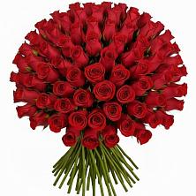 Букет Красные розы Чери Лав в Плюссе