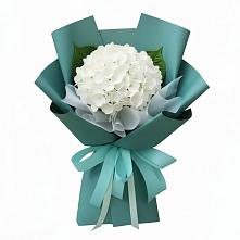 Букет цветов из:  Гортензия в Плюссе